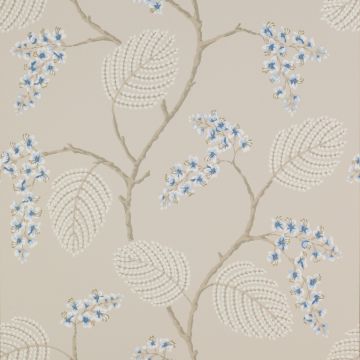 Colefax and Fowler - Celestine - Atwood 7141/06 Blue/Beige