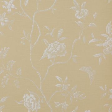 Colefax and Fowler - Casimir - Swedish Tree 7165/01 Yellow
