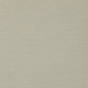 Colefax and Fowler - Casimir - Appledore 7167/03 Pale Blue