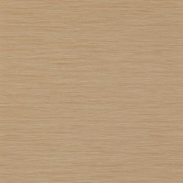 Colefax and Fowler - Casimir - Lark 7168/05 Copper