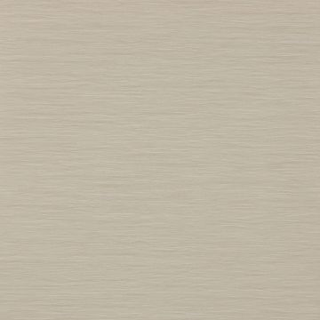 Colefax and Fowler - Casimir - Lark 7168/09 Ivory