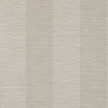 Colefax and Fowler - Casimir - Lark Stripe 7169/06 Silver