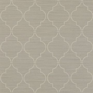 Colefax and Fowler - Lindon - Kenton Trellis 7171/02 Silver