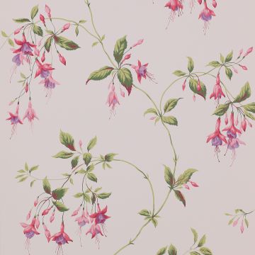 Colefax and Fowler - Lindon - Octavia 7175/03 Pink/Green