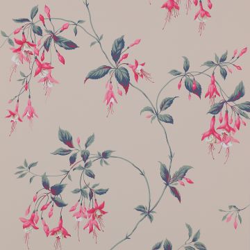 Colefax and Fowler - Lindon - Octavia 7175/04 Pink/Teal