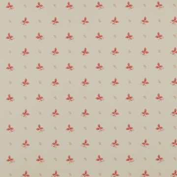 Colefax and Fowler - Ashbury - Ashling 7406/04 Pink