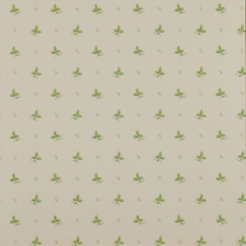 Colefax and Fowler - Ashbury - Ashling 7406/06 Green