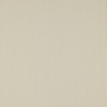 Colefax and Fowler - Chartworth - Harwood 7906/13 White