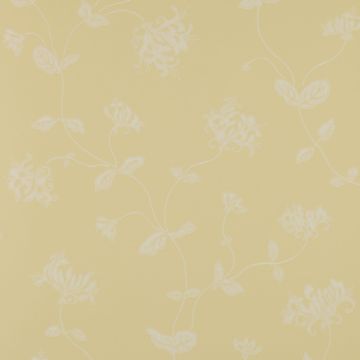 Colefax and Fowler - Summer Palace - Honeysuckle 7946/01 Yellow