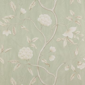 Colefax and Fowler - Summer Palace/Baptista - Snow Tree 7949/02 Stone Green