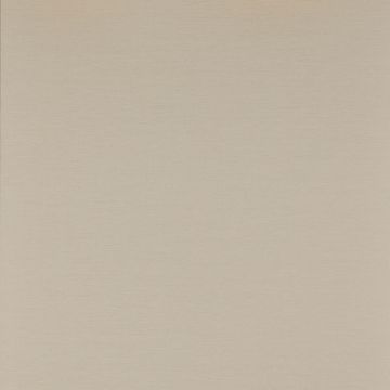 Colefax and Fowler - Ashbury - Grass Paper 7961/03 Stone