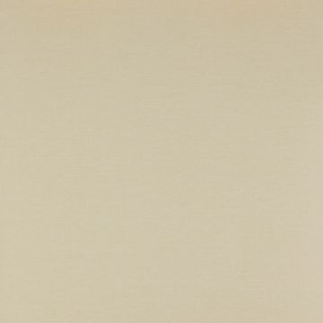 Colefax and Fowler - Ashbury - Grass Paper 7961/05 Beige