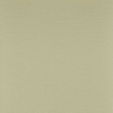 Colefax and Fowler - Ashbury - Grass Paper 7961/06 Leaf