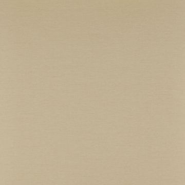 Colefax and Fowler - Ashbury - Grass Paper 7961/07 Sand
