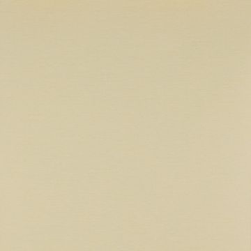 Colefax and Fowler - Ashbury - Grass Paper 7961/08 Yellow