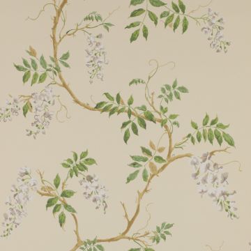 Colefax and Fowler - Lindon - Alderney 7963/02 Cream