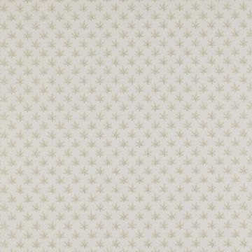 Colefax and Fowler - Ashbury - Maple 7984/04 Stone