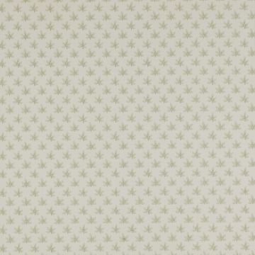 Colefax and Fowler - Ashbury - Maple 7984/06 Sage