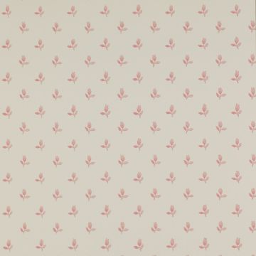 Colefax and Fowler - Ashbury - Sudbury Park 7986/02 Pink