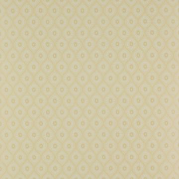 Colefax and Fowler - Ashbury - Brightwell 7989/07 Yellow