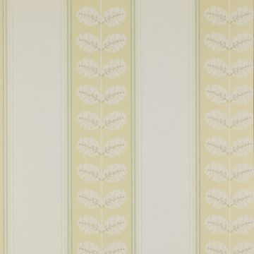 Colefax and Fowler - Ashbury - Woodcote Stripe 7992/03 Yellow/Green