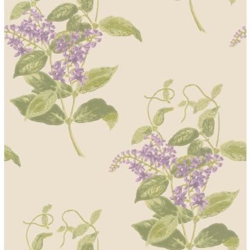 Cole & Son - Archive Anthology - Madras Violet 100/12056