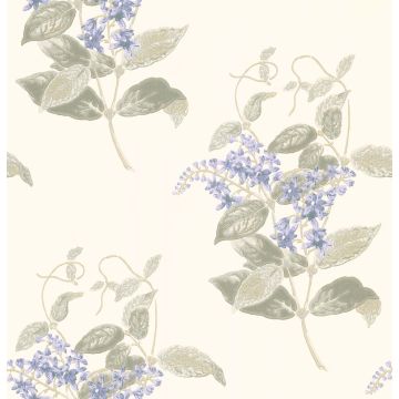 Cole & Son - Archive Anthology - Madras Violet 100/12057