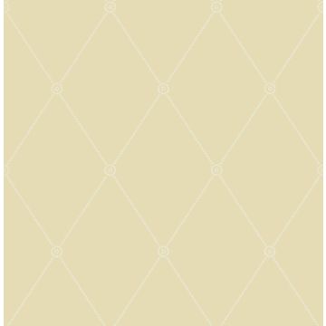 Cole & Son - Archive Anthology - Large Georgian Rope Trellis 100/13063