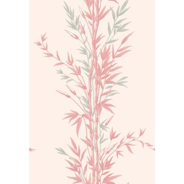 Cole & Son - Archive Anthology - Bamboo 100/5024