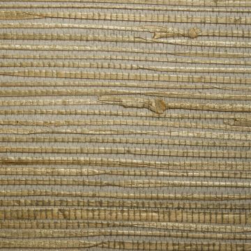 Cole & Son - Caledonia - Lismore 101/13028