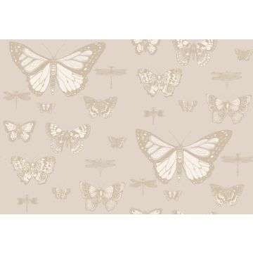 Cole & Son - Whimsical - Butterflies & Dragonflies 103/15064