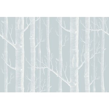 Cole & Son - Whimsical - Woods 103/5022