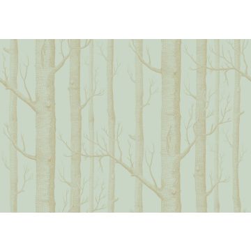 Cole & Son - Whimsical - Woods 103/5023