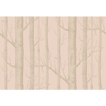 Cole & Son - Whimsical - Woods 103/5024