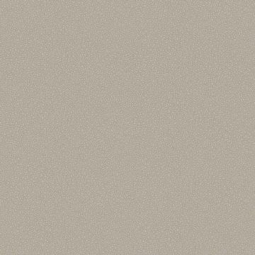 Cole & Son - Landscape - Pebble 106/2016