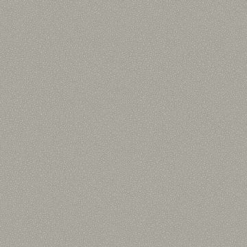 Cole & Son - Landscape - Pebble 106/2018