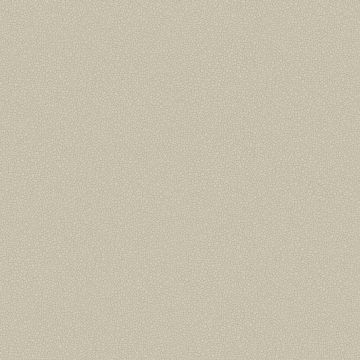 Cole & Son - Landscape - Pebble 106/2019