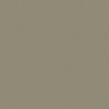 Cole & Son - Landscape - Pebble 106/2020