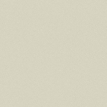 Cole & Son - Landscape - Pebble 106/2021