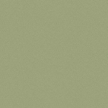 Cole & Son - Landscape - Pebble 106/2026