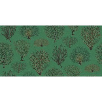 Cole & Son - Curio - Seafern 107/2007