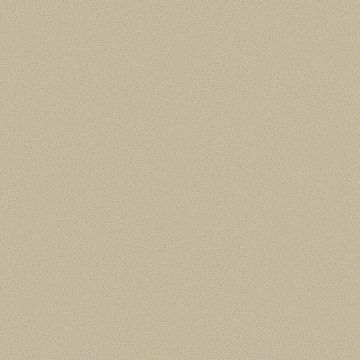 Cole & Son - Curio - Goldstone 107/9042