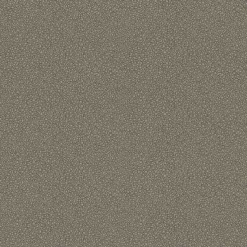 Cole & Son - Curio - Goldstone 107/9043