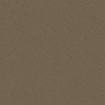 Cole & Son - Curio - Goldstone 107/9044