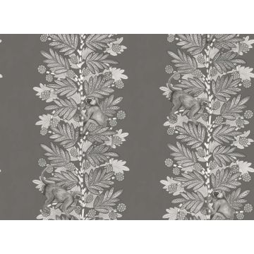 Cole & Son - Ardmore - Acacia 109/11055