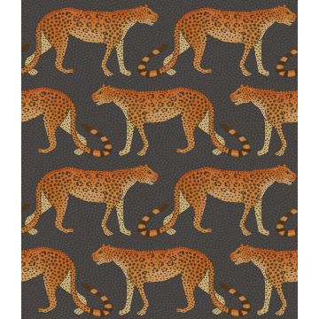 Cole & Son - Ardmore - Leopard Walk 109/2008