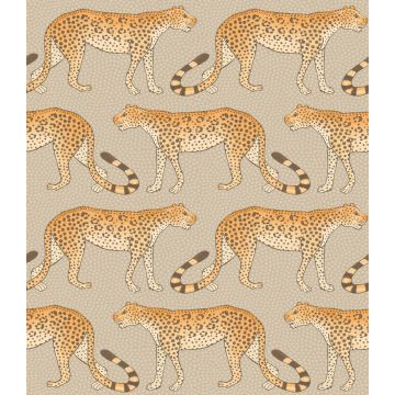 Cole & Son - Ardmore - Leopard Walk 109/2010