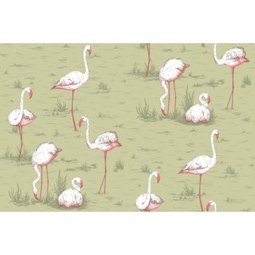 Cole & Son - Icons - Flamingos 112/11038