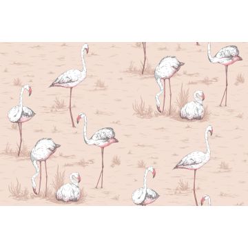 Cole & Son - Icons - Flamingos 112/11039