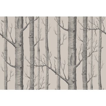 Cole & Son - Icons - Woods 112/3009